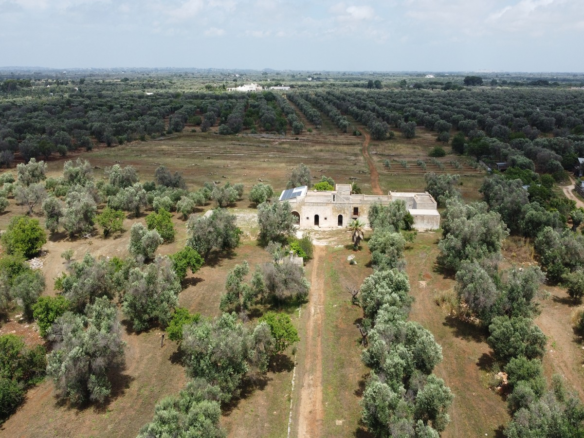 Autentica Masseria Con Ampio Terreno Tra Ostuni E Ceglie Messapica