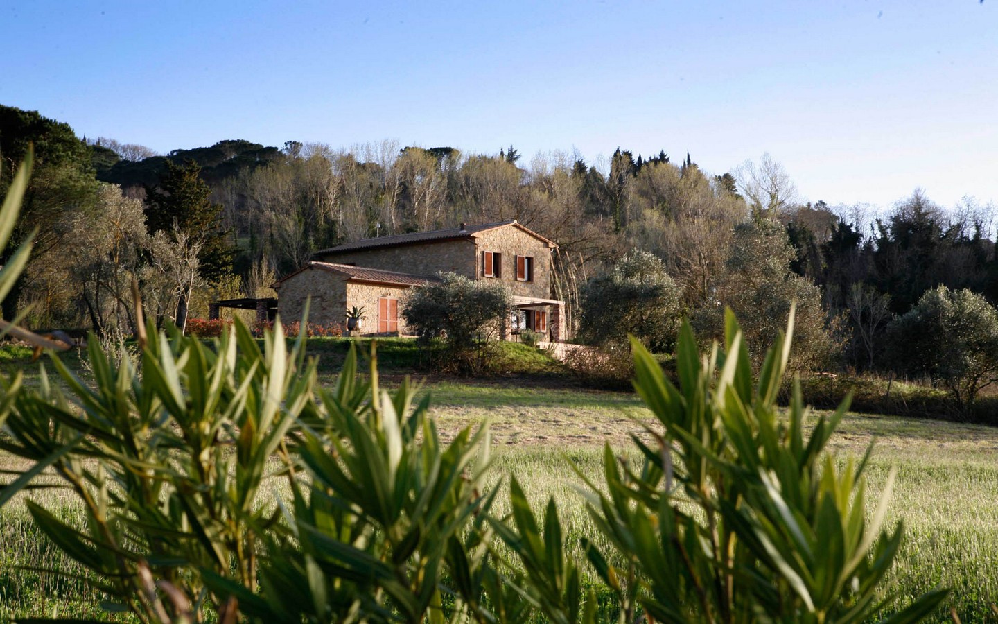 Каменный фермерский дом с бассейном и большим земельным участком в сельской местности Тосканы