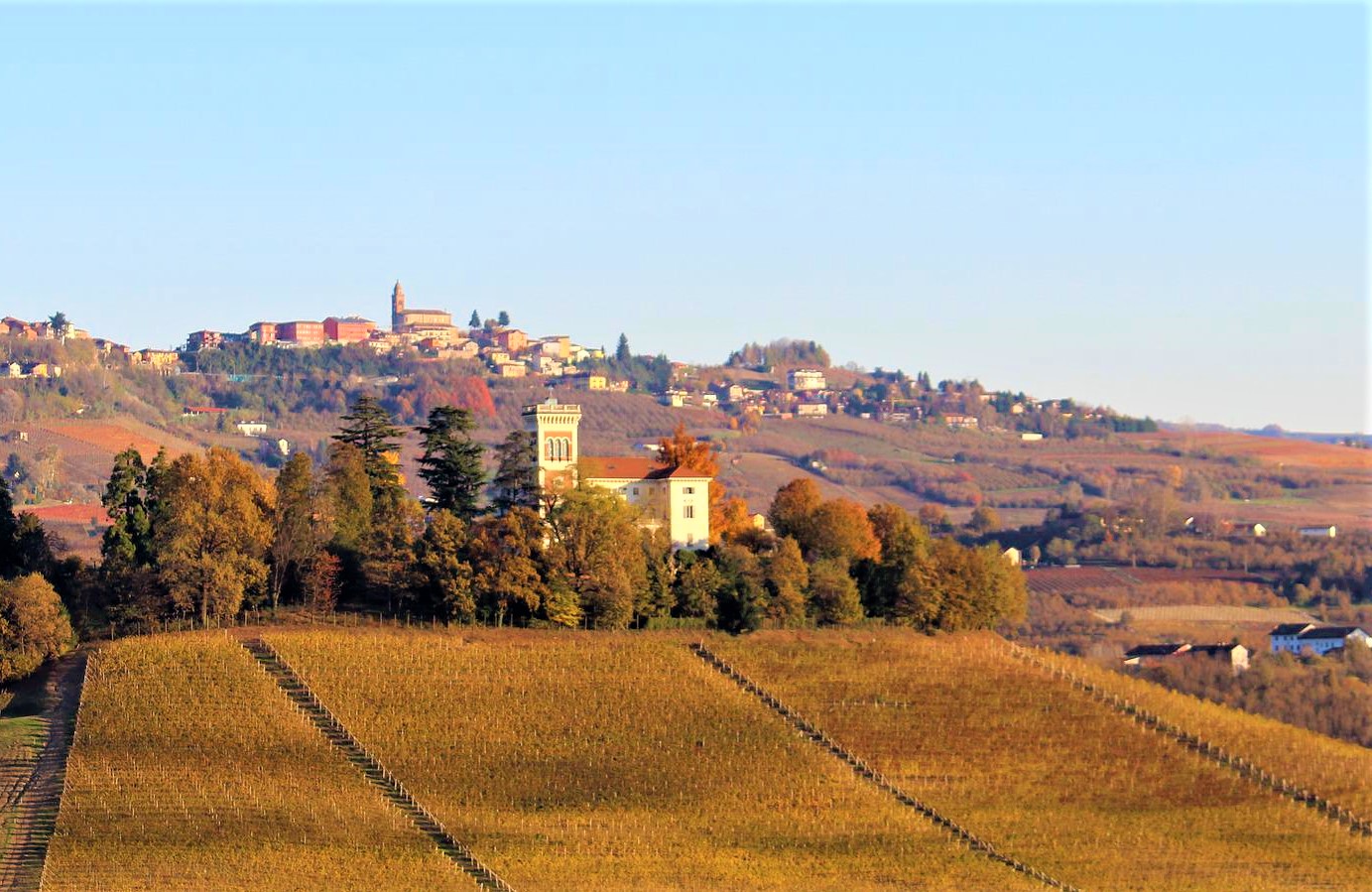 FORBES - Piedmont Wine Region