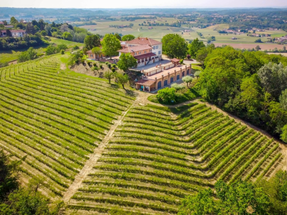Prestigiosa Azienda Vinicola Con Villa D'epoca