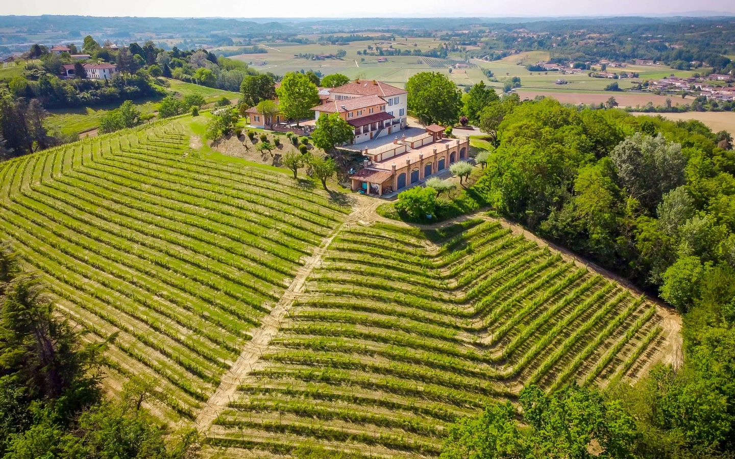 Prestigiosa Azienda Vinicola Con Villa D’epoca, Cantina, Piscina E Lago Nel Monferrato