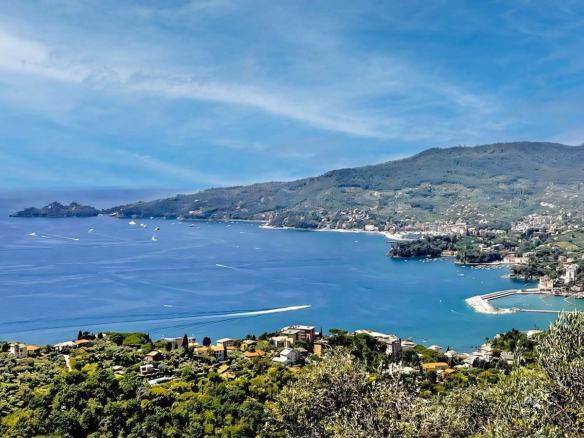 Prestigiosa Villa Con Piscina E Dépendance - Zoagli