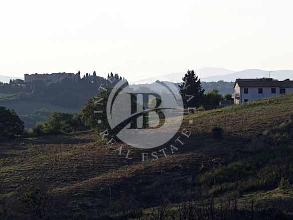 Casale Con Ampio Terreno A Cinigiano