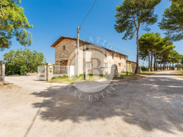Masseria Degli Angeli Con Uliveto E Vigneto A Pescoluse
