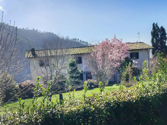 RI 14 Casale Del 1800 Con Vista Panoramica E 7 ettari Di Terreno Sulle Colline Lucchesi