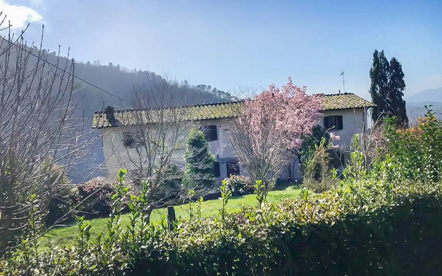 Casale Del 1800 Con Vista Panoramica E 7 ettari Di Terreno Sulle Colline Lucchesi
