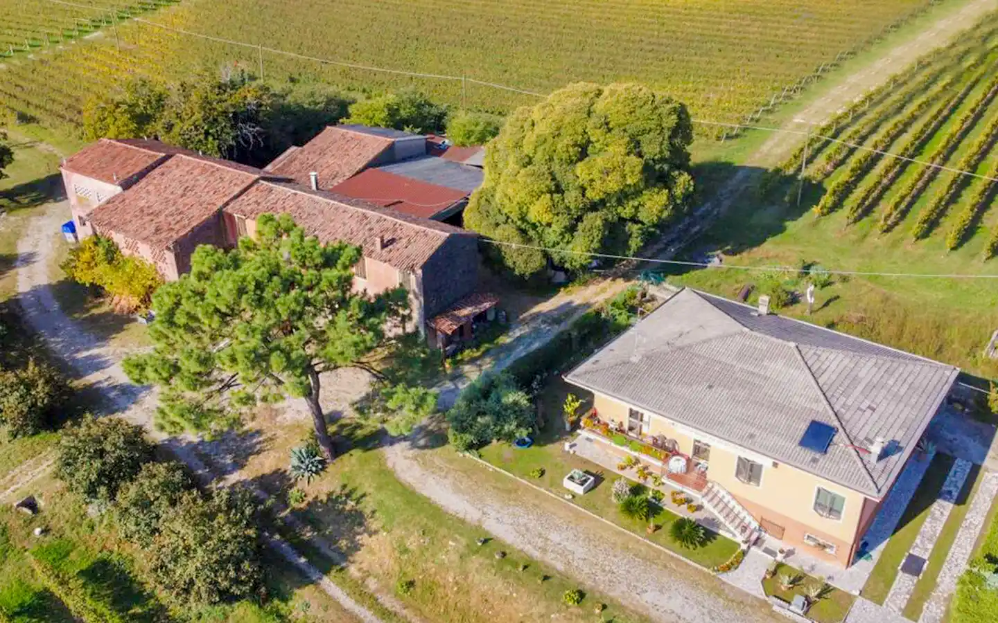 Villa Panoramica Con 5 Ettari Di Terreno E Vigneto DOC A Custoza