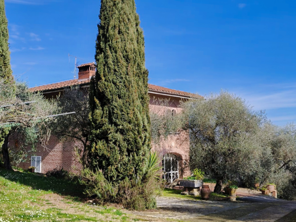 Панорамная вилла на холмах Лукки с оливковой рощей и видом на город